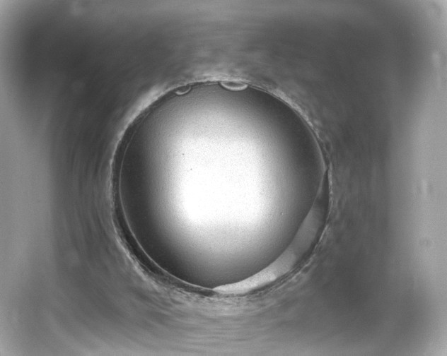 X0000066530008200603201412