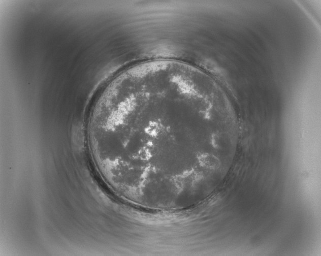X0000066530012200603201411