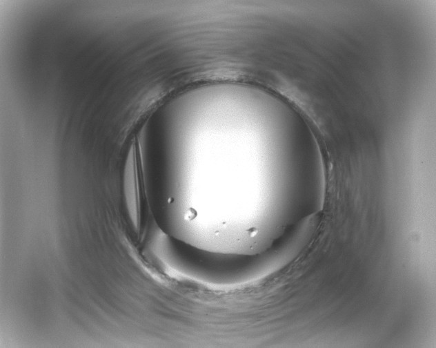 X0000066530013200603201411