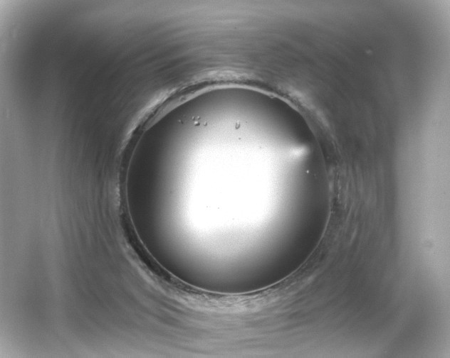 X0000066530015200603201411
