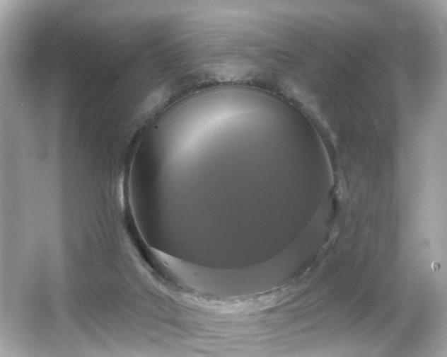 X0000066530019200603201411