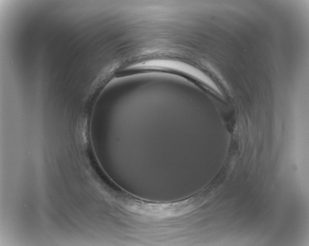 X0000066530023200603201411
