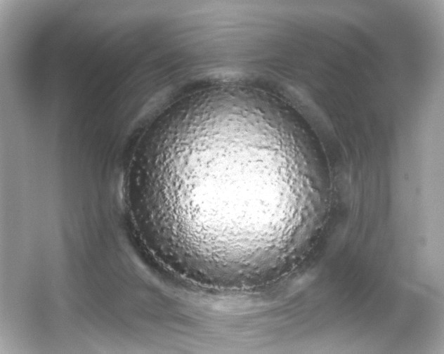 X0000066530024200603201411