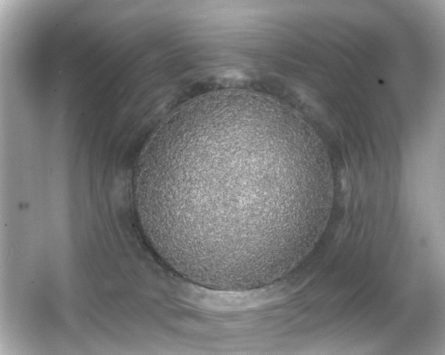 X0000066530034200603201411