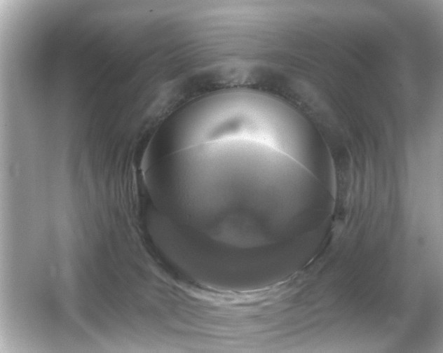 X0000066530035200603201411