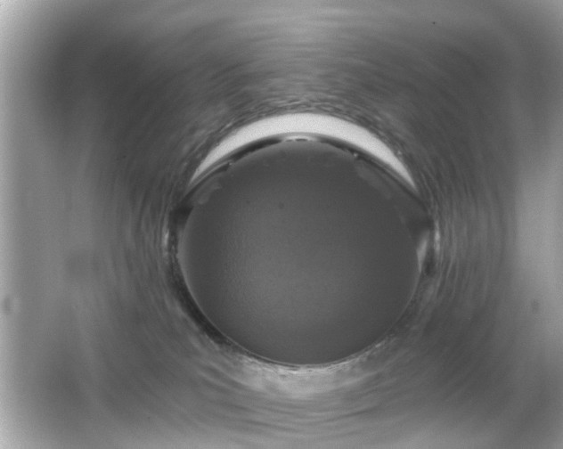X0000066530039200603201411