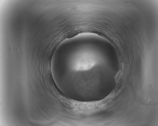 X0000066530048200603201411