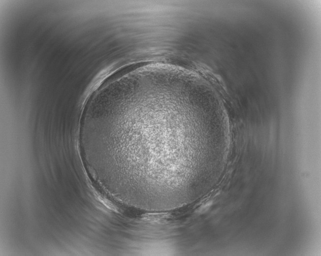 X0000066530051200603201410