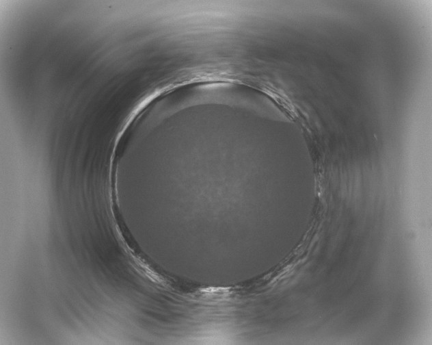 X0000066530052200603201410