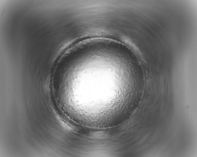 X0000066530058200603201410