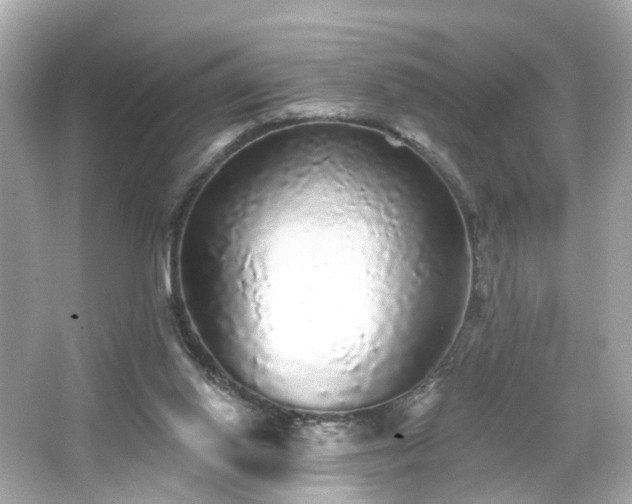 X0000066530062200603201410