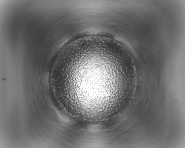 X0000066530066200603201410