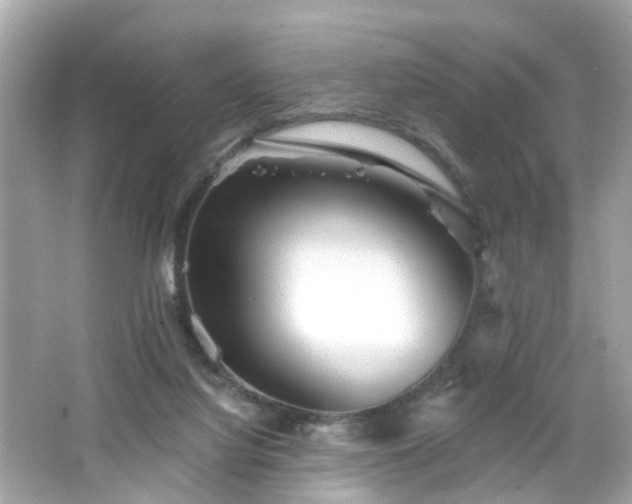 X0000066530068200603201410