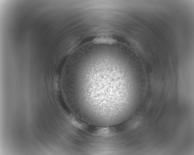 X0000066530083200603201411