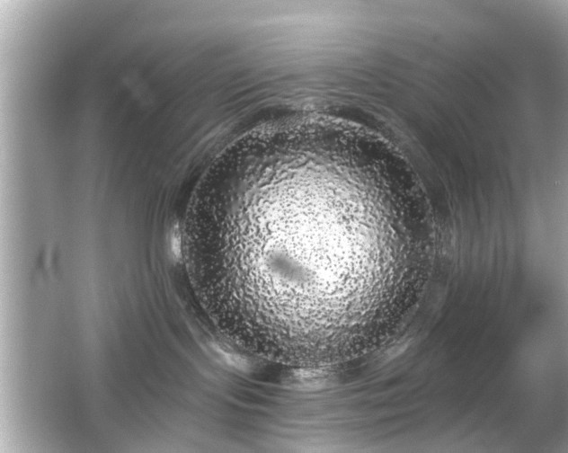 X0000066530095200603201411