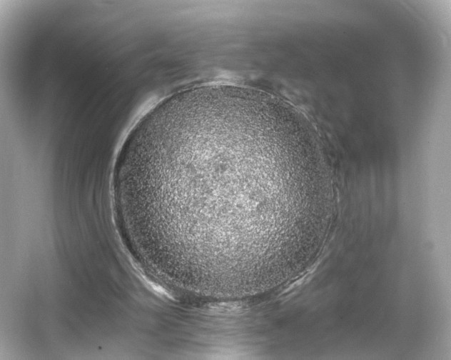 X0000066530102200603201410