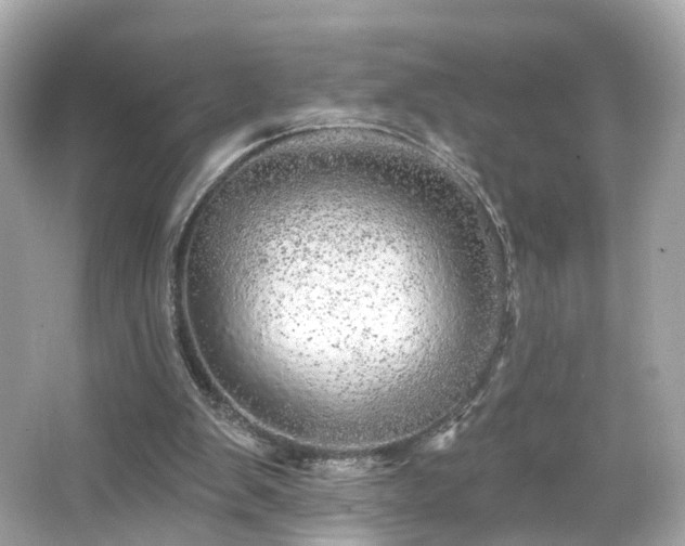X0000066530103200603201410