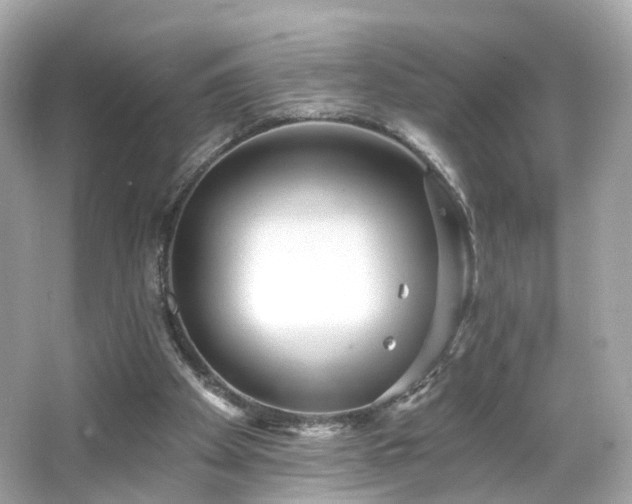X0000066530105200603201410