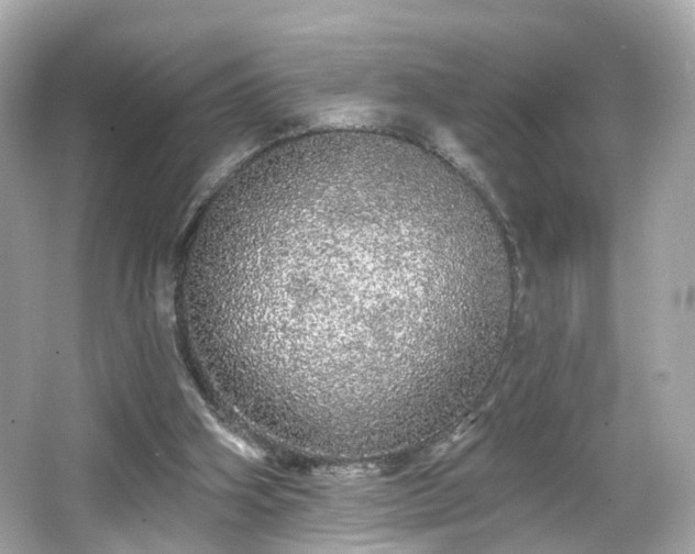 X0000066530106200603201410