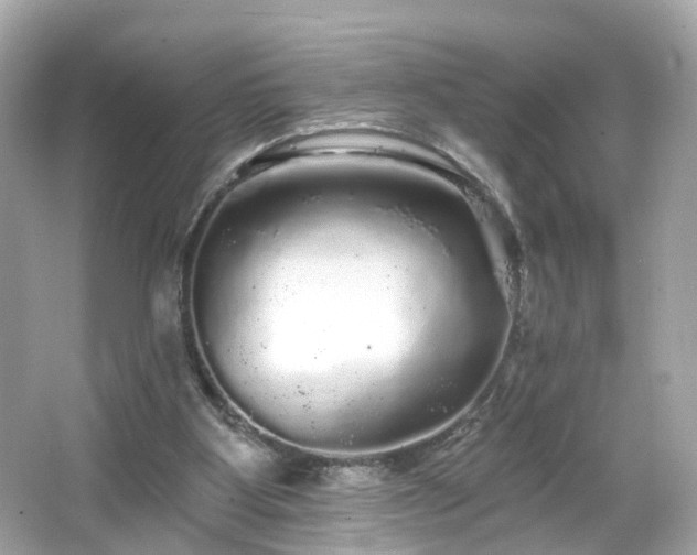 X0000066530107200603201410