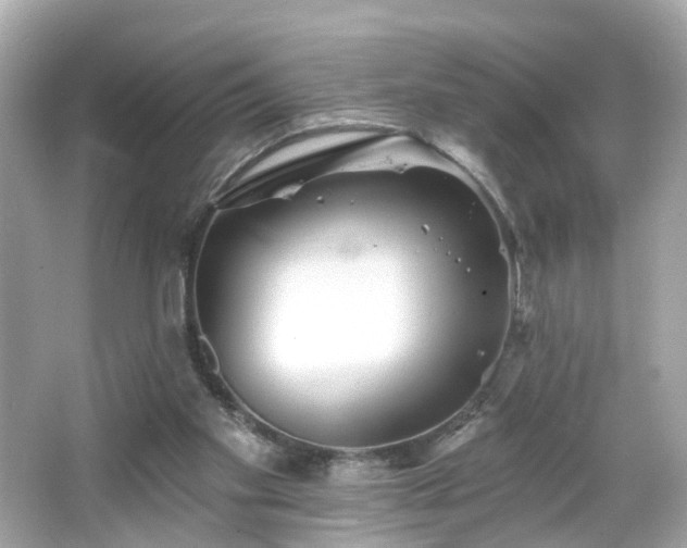 X0000066530109200603201410