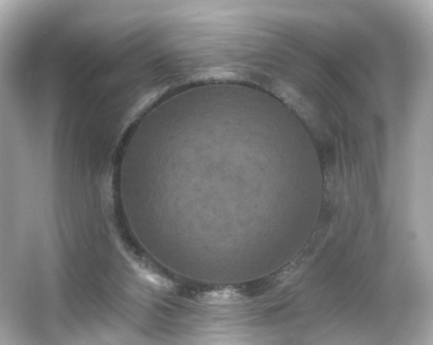 X0000066530112200603201410
