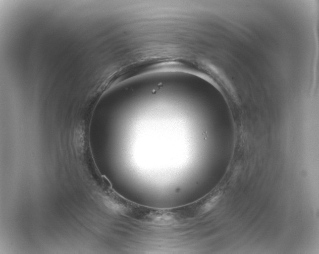 X0000066530113200603201410