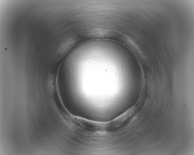 X0000066530119200603201410