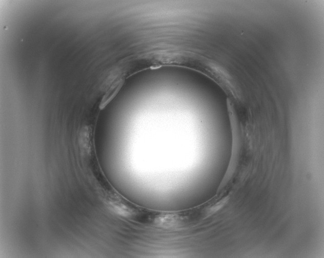 X0000066530121200603201410