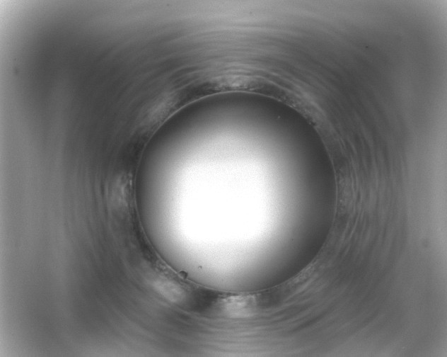 X0000066530126200603201410