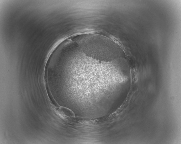 X0000066530147200603201408