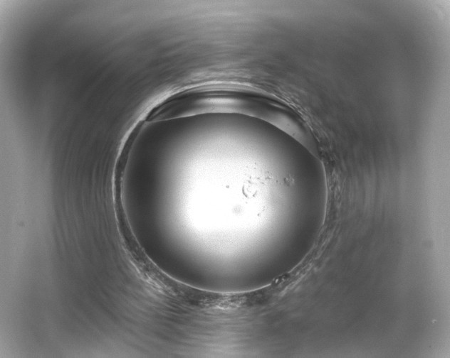 X0000066530148200603201408