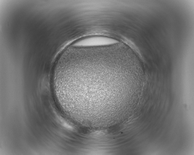 X0000066530155200603201409