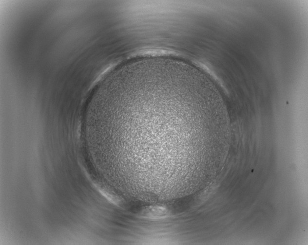 X0000066530159200603201409