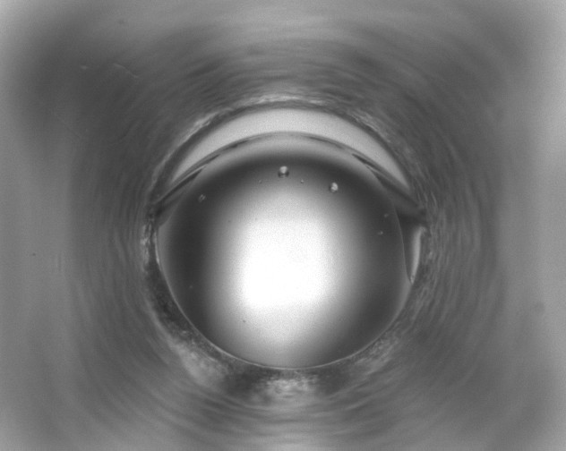 X0000066530160200603201409