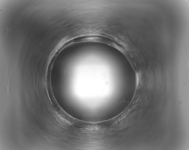 X0000066530195200603201408