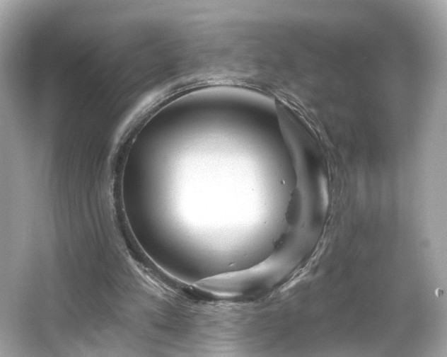 X0000066530197200603201408