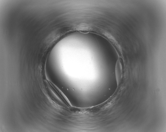 X0000066530201200603201408