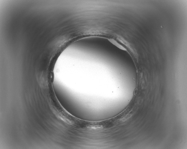 X0000066530203200603201408
