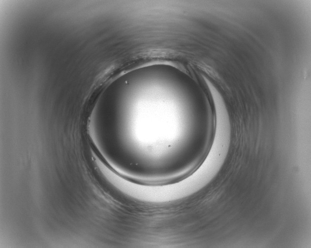 X0000066530207200603201408