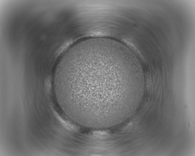 X0000066530208200603201408