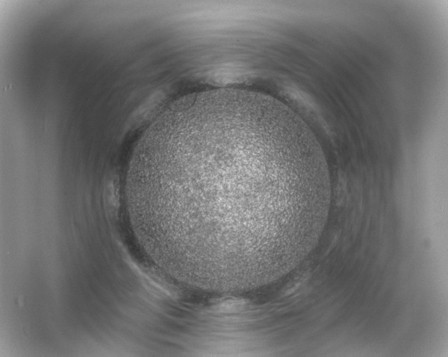 X0000066530210200603201408