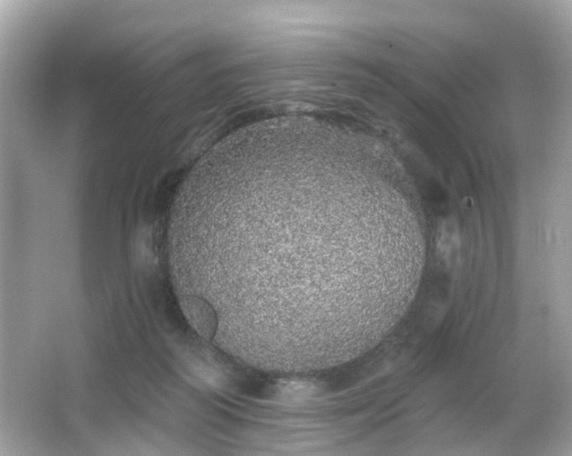 X0000066530218200603201408