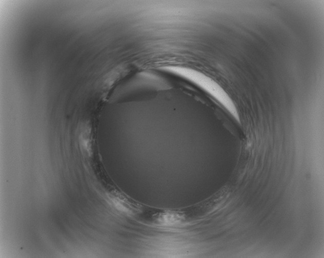 X0000066530223200603201408