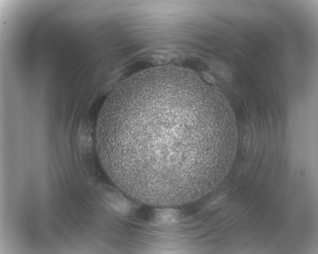 X0000066530226200603201408
