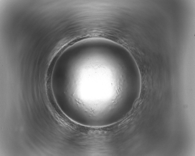 X0000066530242200603201407