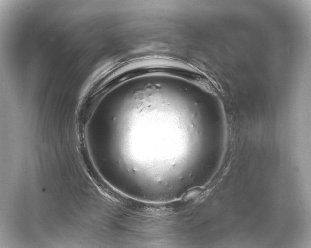 X0000066530245200603201407