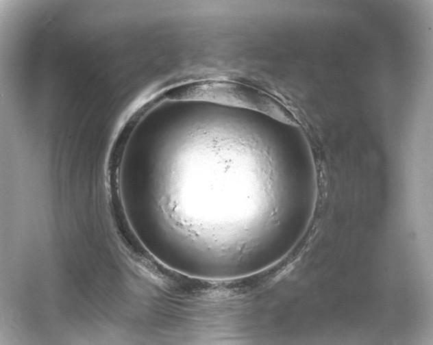 X0000066530246200603201407