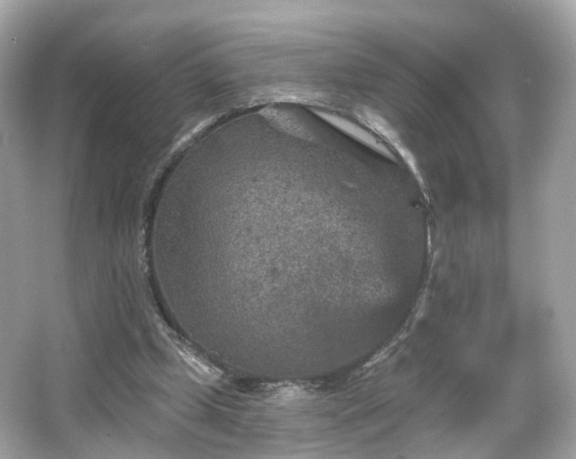 X0000066530249200603201407
