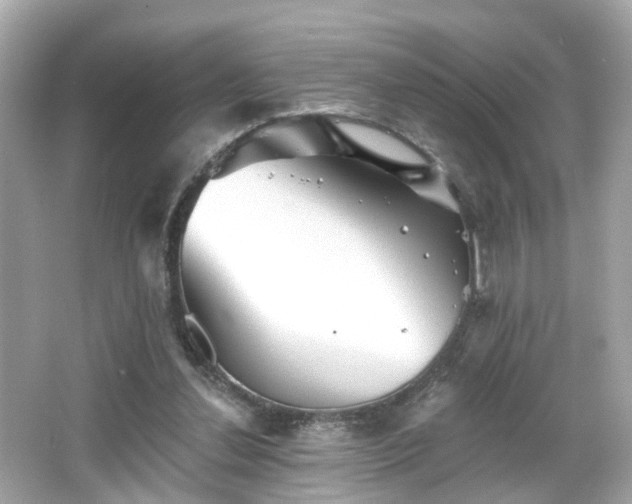 X0000066530252200603201407